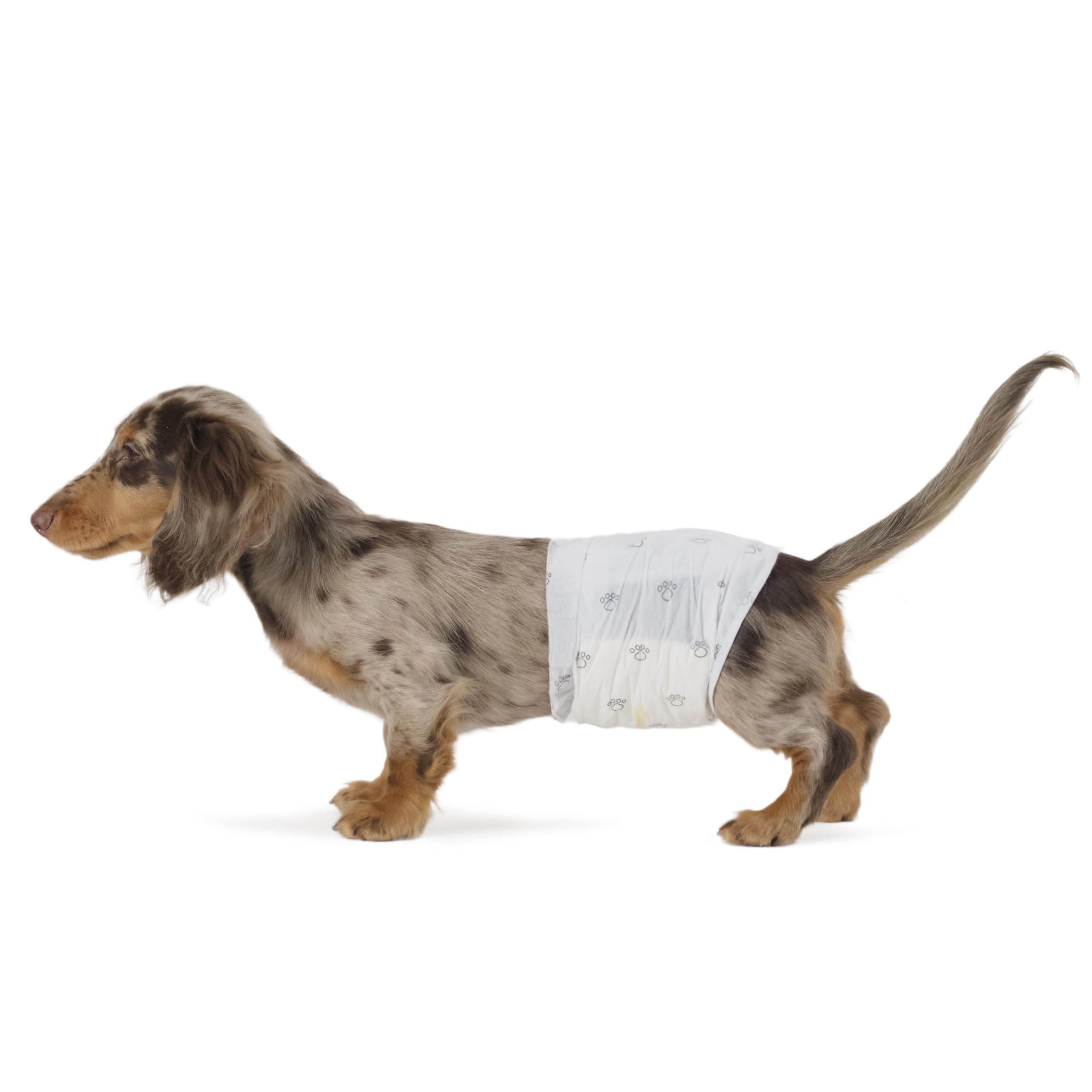 Amazon Basics Male Dog Diapers, 30 Count, Small, Ultra Absorbent Disposable Wrap with Secure Fit, Leakproof and Comfortable