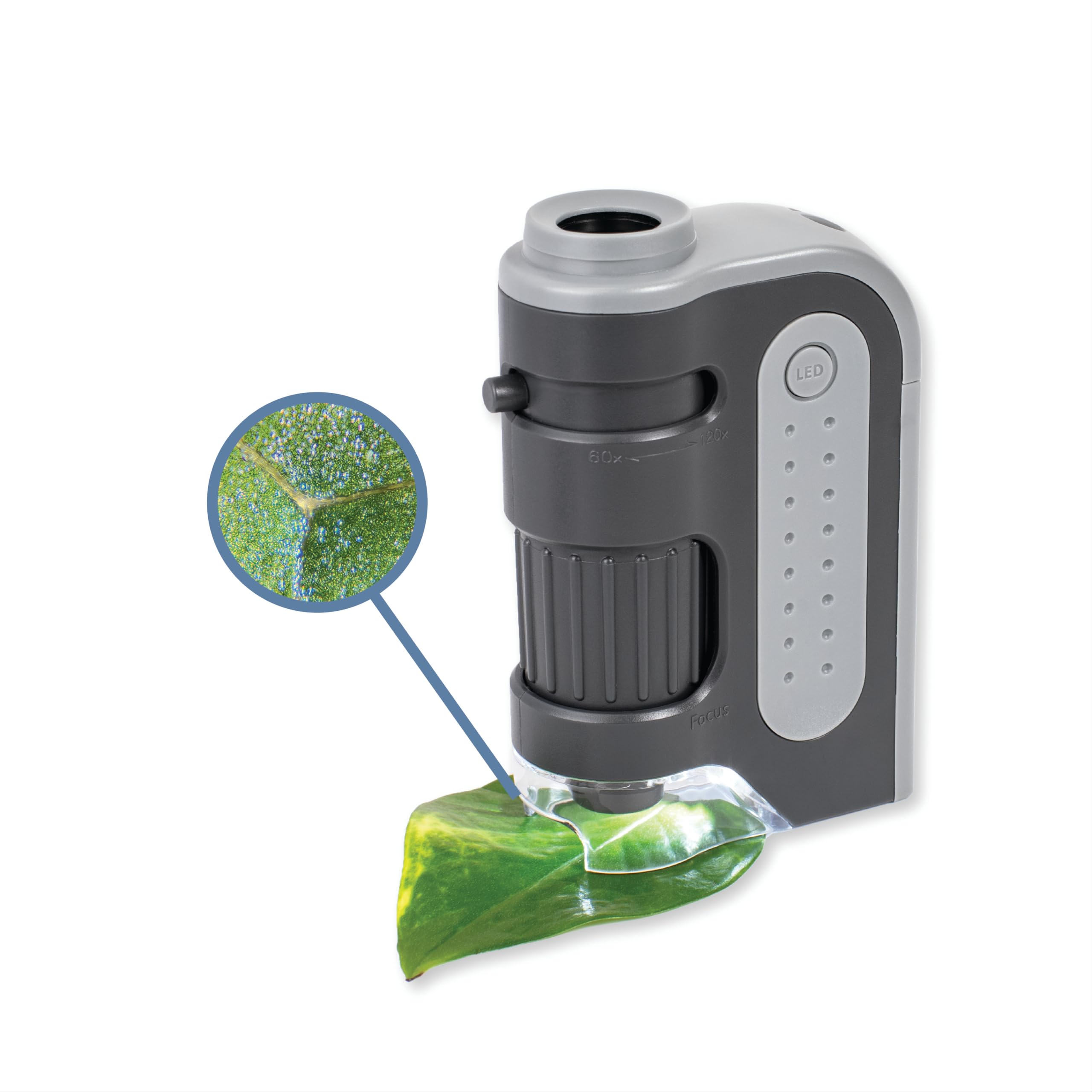 Carson MM-300 MicroBrite Plus 60x-120x LED Lighted Pocket Microscope